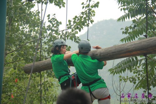 �����Ž�������ܹ����ϸ���