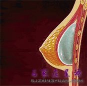 ��ͷ���ν���