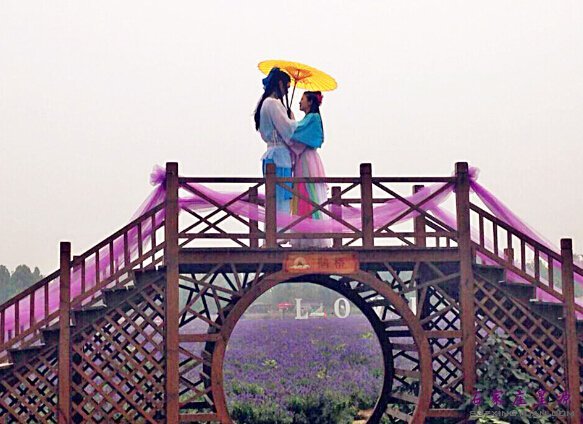 年年情聚花月下 终盼日日伴身旁