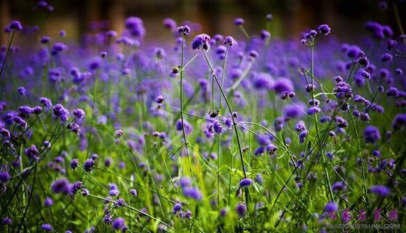 用力呼吸 就会看见奇迹