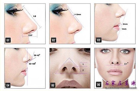 鼻子的美学标准 你有吗?