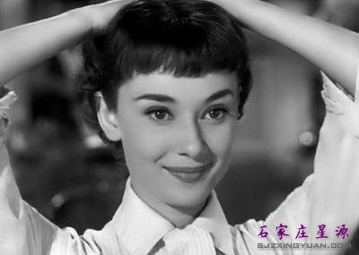 ˫��Ƥ�����۸����