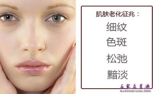 肌肤老化的征兆
