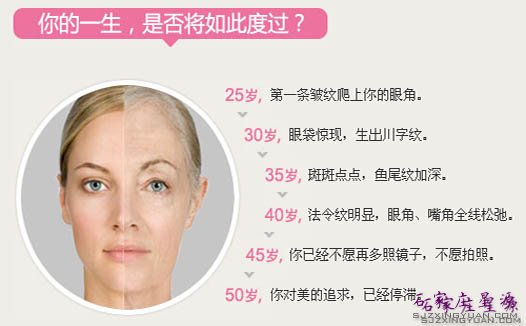 女性肌肤的衰老过程
