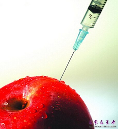 ƻ�����ı������ǡ�