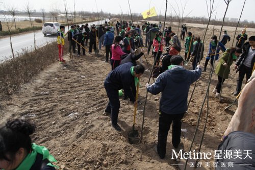 ֲ��������һƬ�Ȼ��������