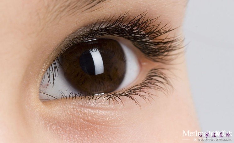 ΢��˫��Ƥ�����������°̺�