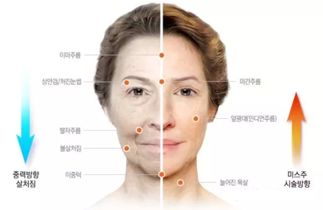 ���������ݹ�Ч