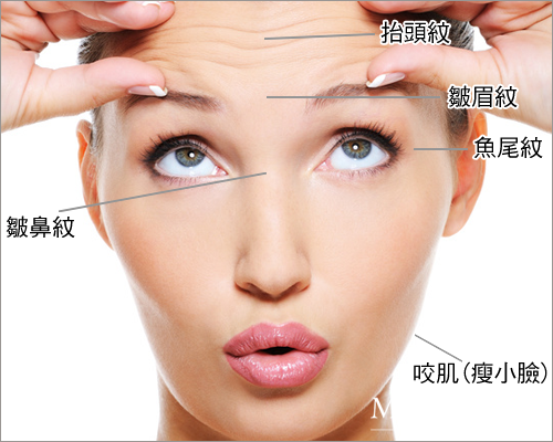 ��һ֧���������Ǯ