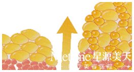 �ƶ���֬������� ���ļ���