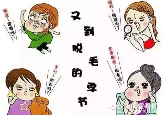 С����ë�ò���