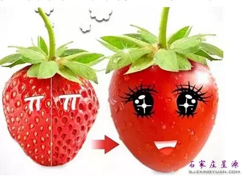 ��ݮ�ͷ��ѵĹ��¡���