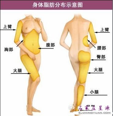 被吸脂过的地方应该怎么保养