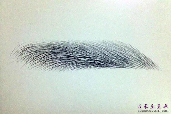 ���꺫ʽ������üë���ò�ɫ