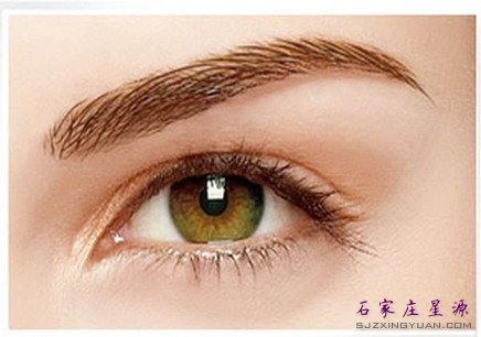 ��ʽ��������üЧ��