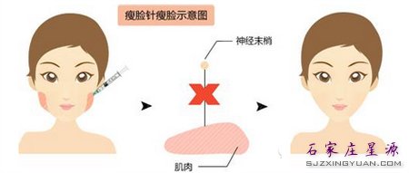  ʯ��ׯ���������������Ч��