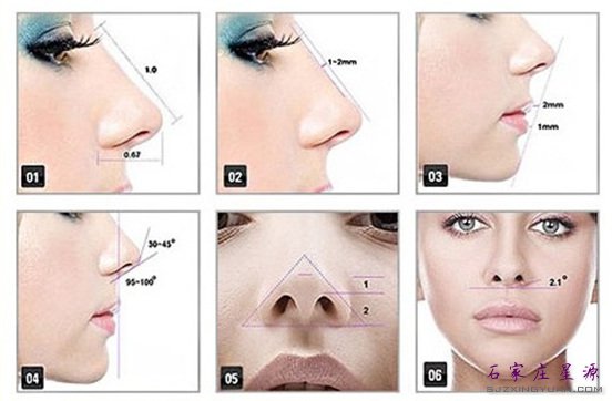 ������ͦ���ͦ����