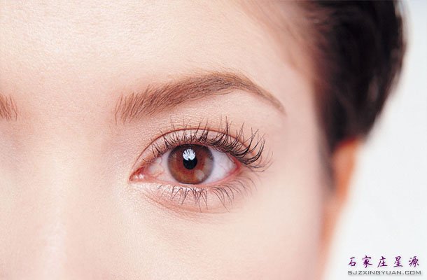 ���۽�������ȫ��