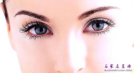 ����˫��Ƥ������ɲ����Ի�ױ