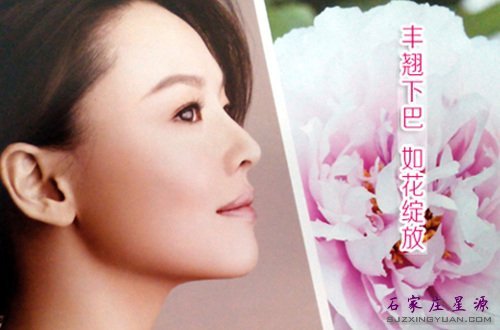 自体脂肪丰下巴 尖翘下巴美丽迷人