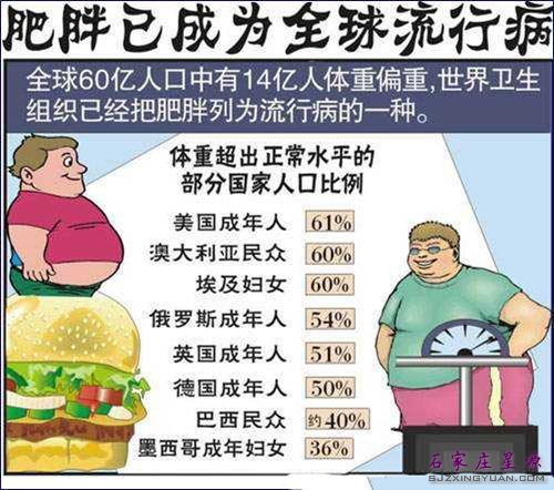 肥胖问题已成为全球的流行病