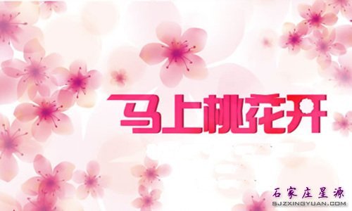 提升桃花运 助你电力全开!