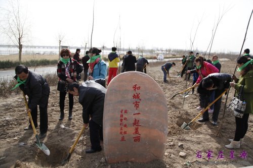 你植树 我浇水 共同为我们的城市再添“绿”