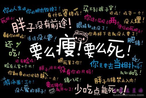 胖纸的苦恼 胖纸的悲哀 一些难以言说的痛……