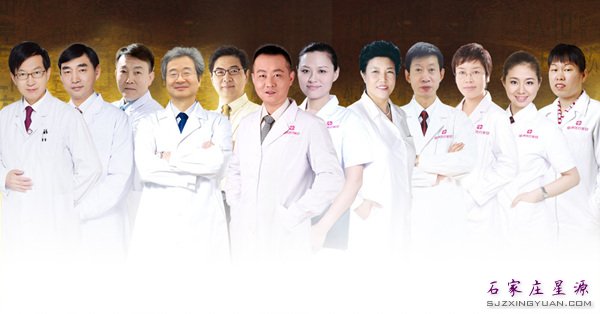 强大专家团队 树立行业标杆