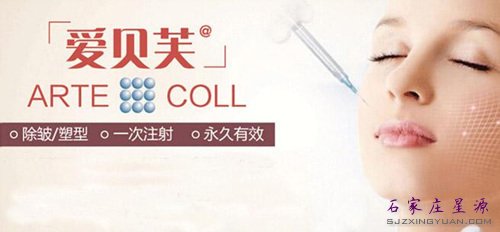 爱贝芙